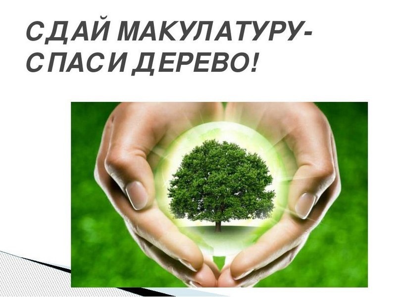 «Собери макулатуру - сохрани дерево!».