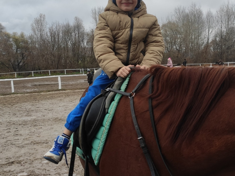 Школьный лагеря «Парус» посетили конно-спортивную школу.
