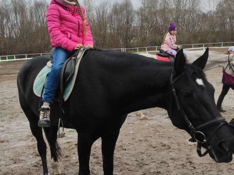 Школьный лагеря «Парус» посетили конно-спортивную школу.